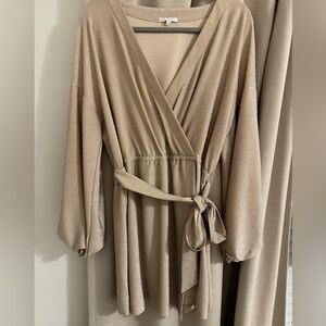 Champagne Sparkly Long Sleeve Dress